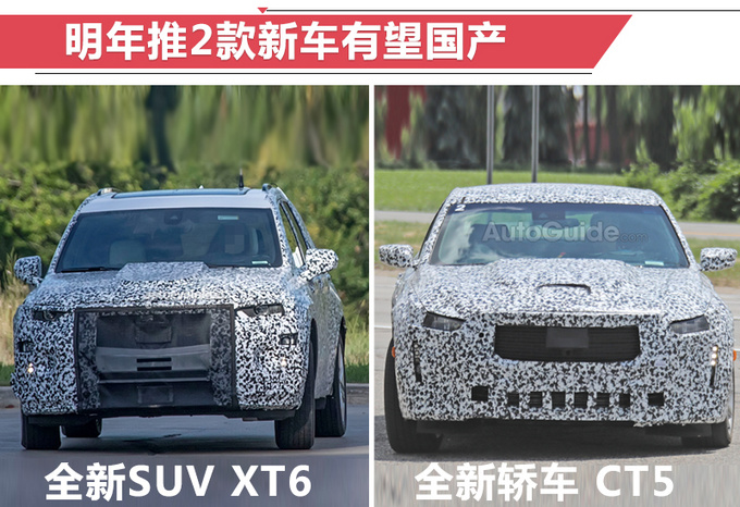 凯迪拉克前10月销量超去年全年7.29% XT4销量翻倍