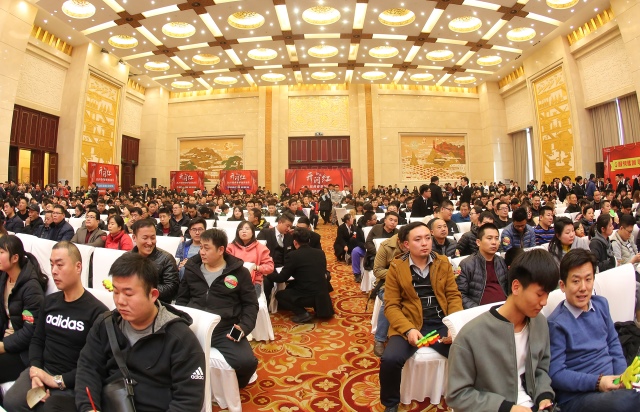 千城数智郭登礼：新媒体X新零售“化反”开启汽车电商新模式